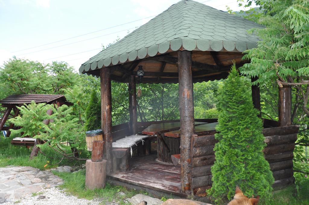 Pensiunea Valahia Brezoi Exterior photo